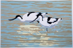 Avocets reduction lino