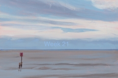 Week 21