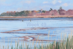 Week 49